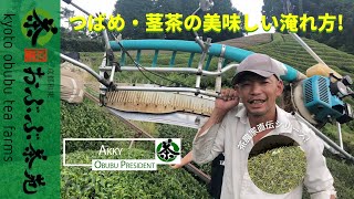 つばめ・茎茶の美味しい淹れ方。茶農家直伝シリーズ