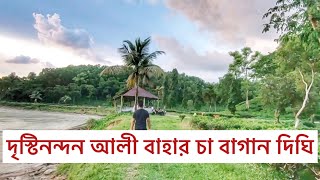 দৃস্টিনন্দন সিলেটের আলী বাহার চা বাগান দিঘি | গোয়াবাড়ি পাঠানটুলা সিলেট | Sylhet