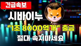 [ 시바이누 코인 ] 1조 8000억개 출금?.. 절대 속지마세요