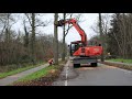 Renovatie bomenlaan Schoorstraat Udenhout Boomrooierij Weijtmans