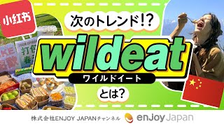 次のトレンド！？「wildeat」とは？