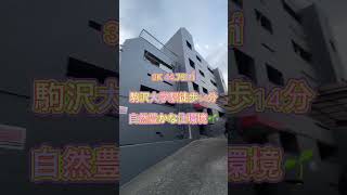 【駒沢大学駅徒歩14分】珍しい3つの洋室！自然も豊かで伸び伸び暮らせる🌱