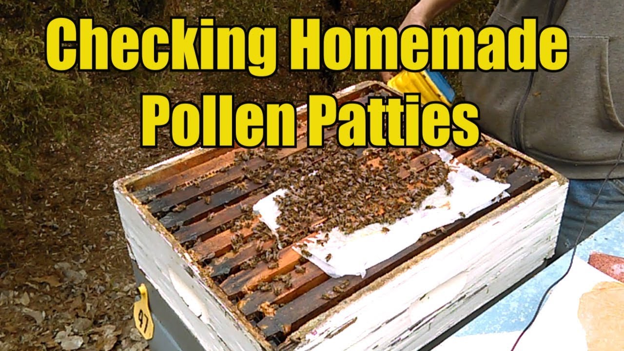 Pollen Substitute Patties Recipe For Bees Deporecipe Co