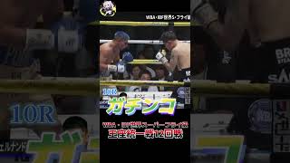 井岡一翔 vs フェルナンド・マルティネス(WBA・IBF世界スーパーフライ級王座統一戦 12回戦)ABEMA 格闘技ch【切り抜き】#Shorts #abema格闘