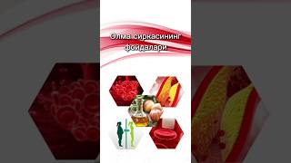 Олма сиркасининг фойдалари #shortvideo #shorts #bloodthinner #разжижающий #қонсуюлтирувчи