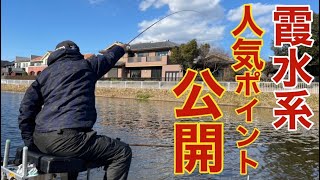 住宅街を流れる川で厳寒期にヘラブナが釣れるポイントを大公開