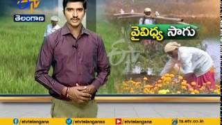 Jaikisan TS | 10th Mar 18 | బహుళ పంటల సాగులో భూపాలపల్లి జిల్లా మహిళ రైతు ఆదర్శం