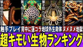 【閲覧注意】気持ち悪すぎる生き物 TOP10【ゆっくり解説】【総集編】