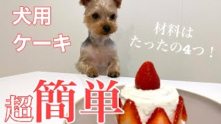 【超簡単🔰】誰でも作れる！！犬用ケーキの作り方