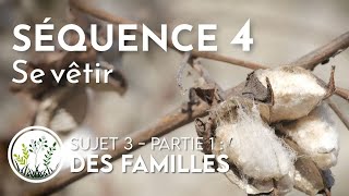 Séquence 4 – Sujet 3 – Partie 1 : Des familles