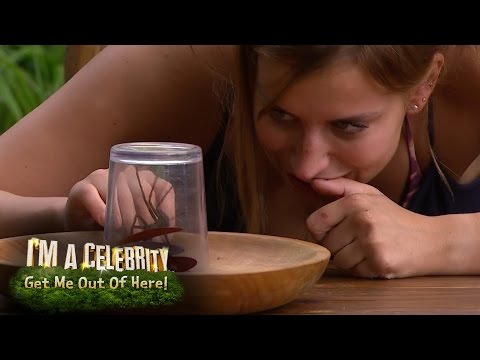 Ferne McCann Eats a HUGE Live Spider! | I'm A Celebrity... Get Me Out Of Here! Ferne McCann Eats a HUGE Live Spider! | I'm A Celebrity... Get Me Out Of Here!