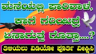 ಮನೆಯಲ್ಲಿ ಪಾರಿವಾಳ, ಕಾಗೆ ಗರಿಯಿದ್ರೆ ಏನಾಗುತ್ತೆ ಗೊತ್ತಾ....?