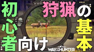 【Way of the Hunter】初心者向け🔰動物を狩るまでの流れを徹底解説！動物発見の仕方,射撃時のポイント,追跡のポイントetc.狩猟の基本！【ウェイ オブ ザ ハンター】