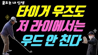 [필드레슨]타이거 우즈도 저 라이에서는 우드 안 칩니다