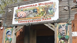 Birmingham Wildlife Conservation Park|Is it Hidden Gem in Birmingham?zoo review\u0026tour 4KHDR #redpanda