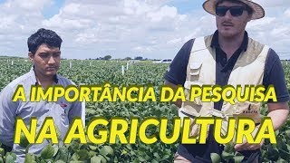 Pesquisas agronômicas são destaque mundial