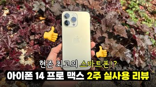 현존 최고의 아이폰! 아이폰 14프로맥스 2주 실사용 리뷰