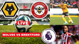 Wolves vs Brentford Live Stream Premier League Football EPL Match Today Score Highlights Vivo 2024