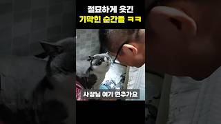 절묘하게 웃긴 기막힌 순간들 ㅋㅋ