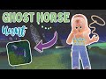 Hunting for *GHOST HORSES!* 👻 | Wild Horse Islands