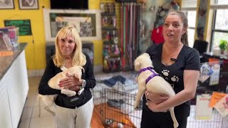 Tri-County Animal Rescue needs community to adopt, foster and donate