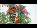 চোখ রাখুন hs tv