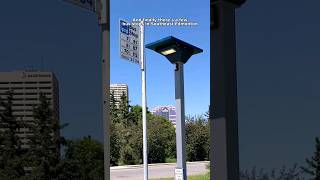 Edmonton's Unique Bus Stops