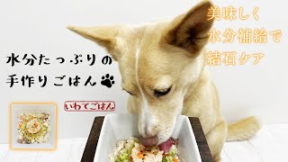 【簡単手作り犬ご飯】水分補給で結石ケア！水分たっぷり手作りごはん【帝塚山ハウンドカム】