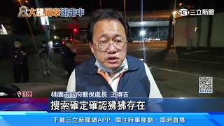 狒狒出沒！現蹤新屋交流道旁　動保處趕赴圍捕｜三立新聞網 SETN.com