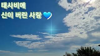 🌿태사비애💙신이 버린 사랑(가사첨부)