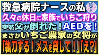 【感動する話】救急病院のナースの私。久々の休日に家族でいちご狩りに！そんな中、突然父が倒れた！いちご農家の女将が「AED持ってきてー！」と叫び、その後「私が執刀するわ！メスを貸して」「え？！」***