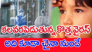 కలవరపెడుతున్న కొత్త వైరస్..అది కూడా చైనా నుండే..: New Virus From China | Allert In India | #SPT