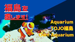 Aquarium TOJO 福島