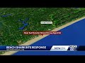 Shark bite reported on Hilton Head Island