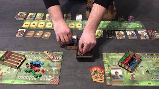 Unboxing - Paladini con organizer TheDicetroyers