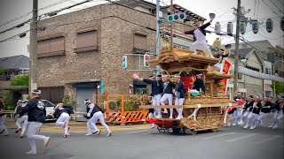 正覚寺だんじり祭り 宵宮  曳き出し  Danjiri festival《2023/7/15》