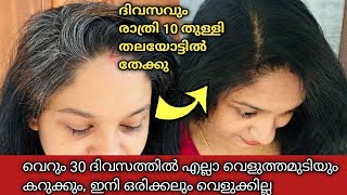 ഇനി Henna യും വേണ്ട, നീലമരിയും വേണ്ട 💯ഈ കാച്ചെണ്ണ കൊണ്ട് Greying റിവേഴ്‌സ് ചെയ്യാം 30 ദിവസത്തിൽ ‼️