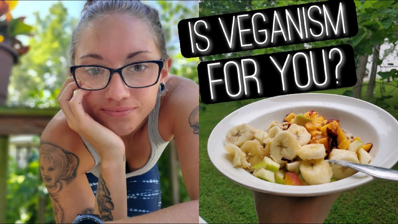 How To Go Vegan For Beginners Guide Tips And Tricks To Go Slowly And How To Go Vegan For Beginners Guide Tips And Tricks To Go Slowly And