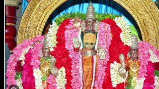 திருப்புகழ் 276 - தொடத்துளக்கிகள்  (திருத்தணிகை)