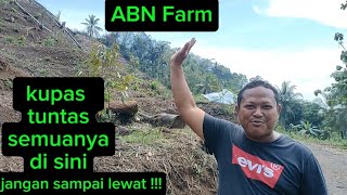 Part 3 ‼️CARA BUKA LAHAN, PENANAMAN DAN PERAWATAN TANAMAN DURIAN DI ABN FARM ‼️