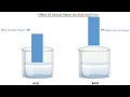 acid and base litmus paper litmus paper test in english