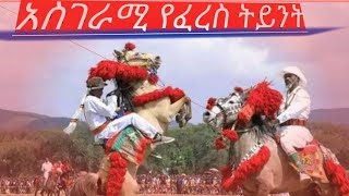 አስገራሚ የአገው ፈረስ ጉግስና ግልቢያ |amaizing Agew's horse riding| |24January2023|