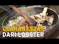 Referensi tepat untuk membuat olahan lobster yang lezat | HARMONI ALAM