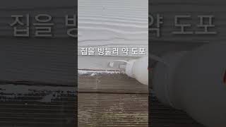 지네 퇴치하는 방법 #지네 #벌레퇴치 #판데스