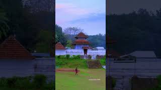 പുലർകാല ഗ്രാമ കാഴ്ചകൾ  | Amarambalam siva temple malappuram