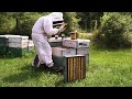 keeping track of 3000 beehives commercial beekeeping management