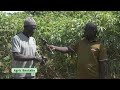 agric bantaba 27.01.25