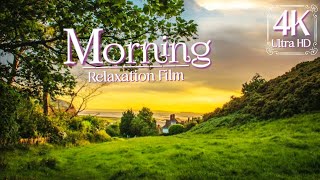 Nature Morning 4K | Meditation Relaxing Music | #nature #relaxationfilm #bbcearth  #divyamdrishti