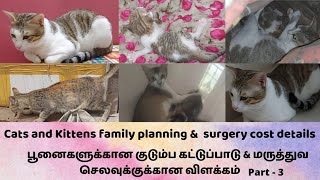 Cats family planning \u0026 surgery cost details😺 பூனைக்கான குடும்ப கட்டுப்பாடு \u0026 மருத்துவ செலவு விளக்கம்