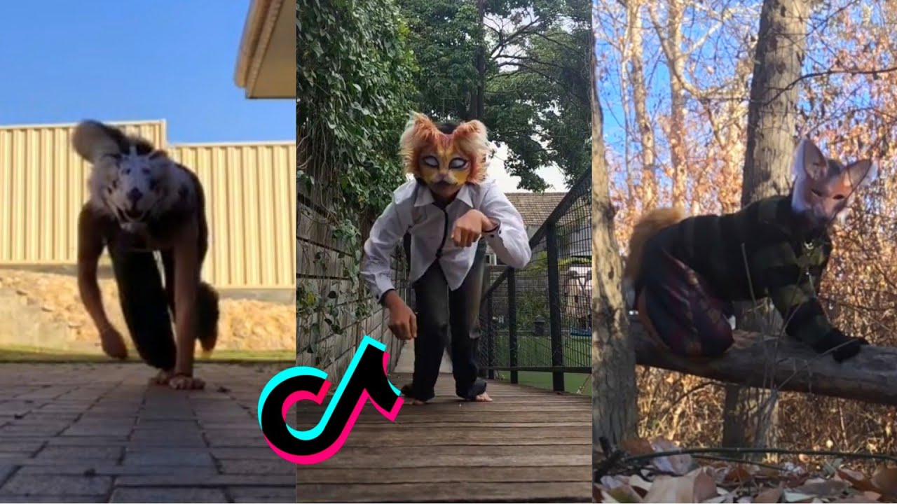 Therian Tiktok Compilation 16 Youtube